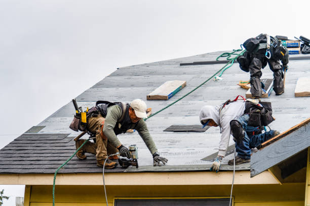 Professional Gutter Installation technician working in Clontarf, MN